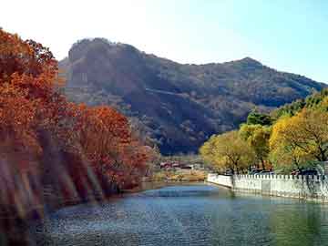 澳门二四六天天彩图库，天涯论坛